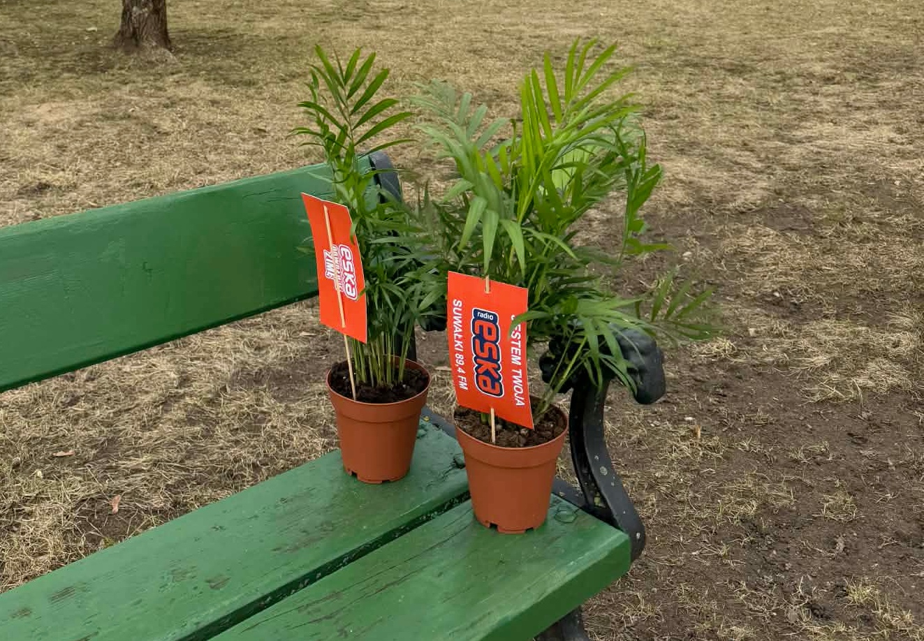 Akcja marketingowa Radia ESKA w Suwałkach z okazji pierwszego dnia wiosny